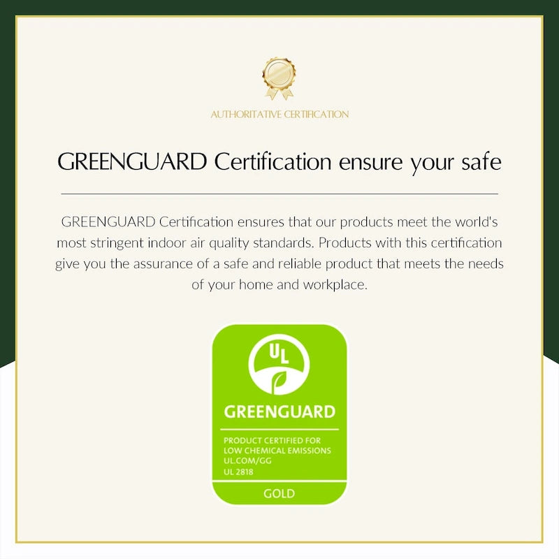 Antoine Modern Ratten Back Dining Chair with Removable Cushion by HULALA HOME